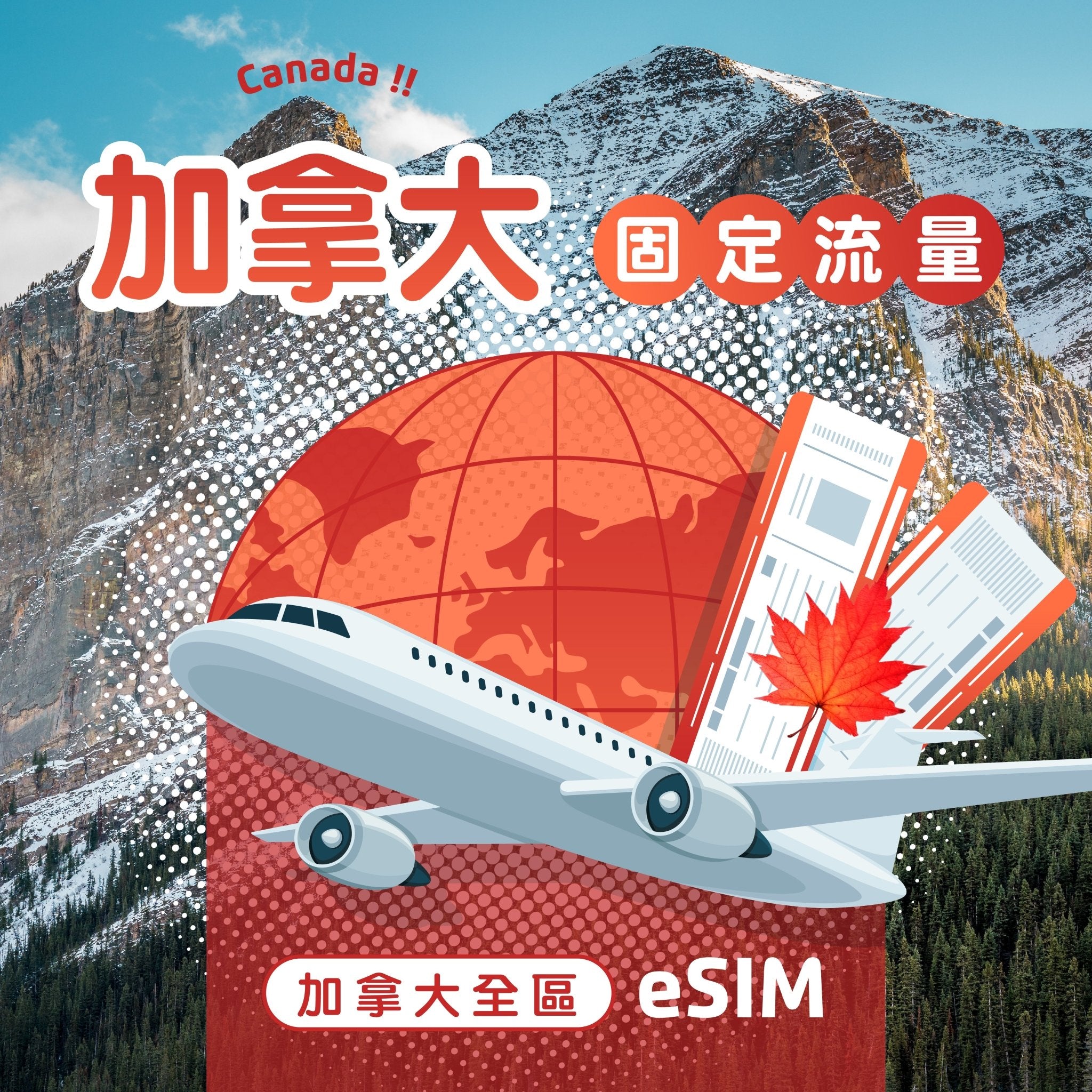 加拿大 eSIM 固定流量 - AI CARD
