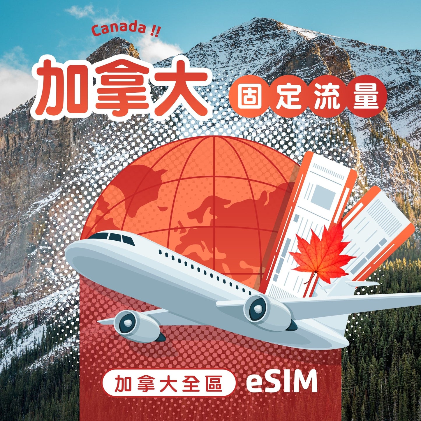 加拿大 eSIM 固定流量 - AI CARD