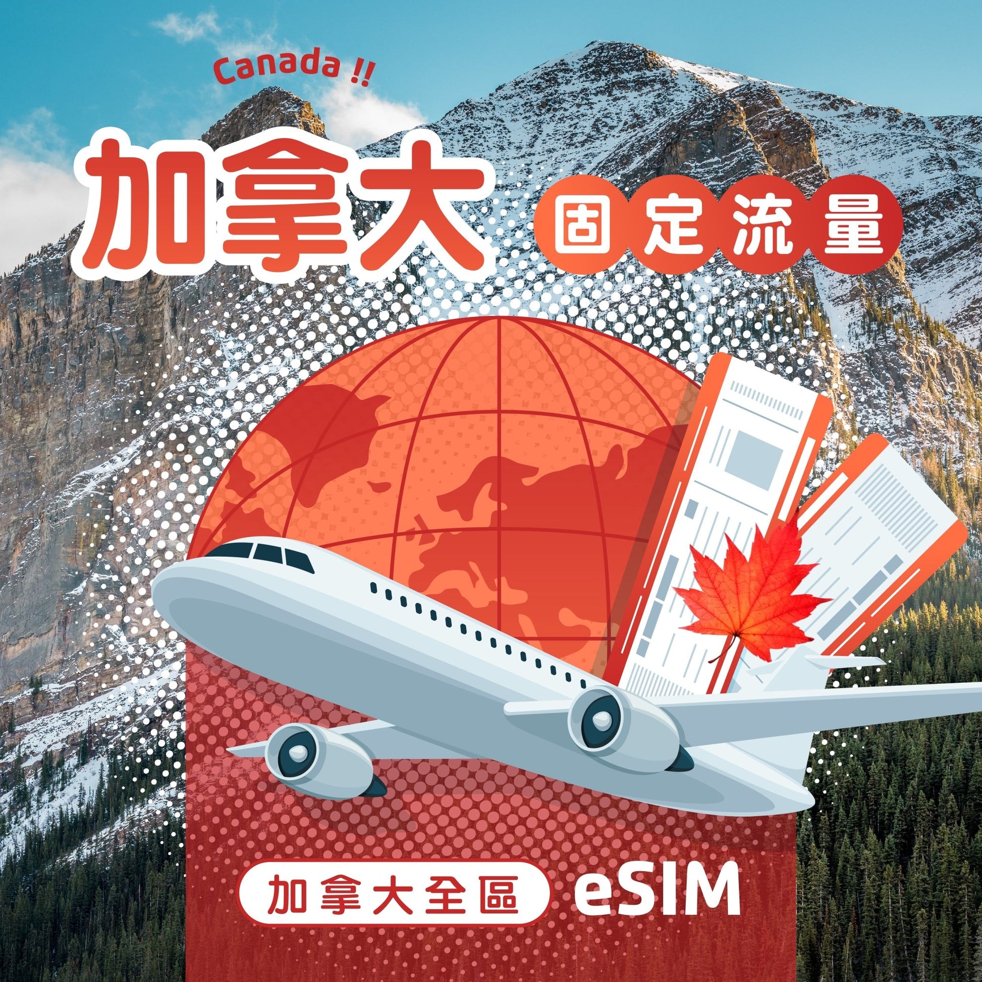 加拿大 eSIM 固定流量 - AI CARD