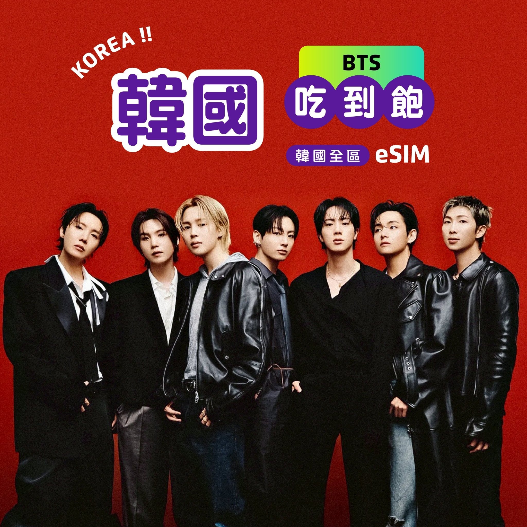 【 BTS💜A.R.M.Y｜釜山演唱會 】韓國 eSIM 吃到飽 - AI CARD