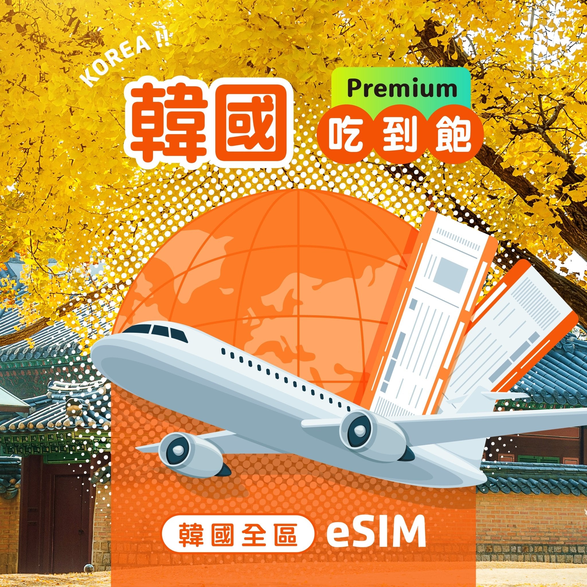 韓國 eSIM 每日流量吃到飽 | Premium版 - AI CARD